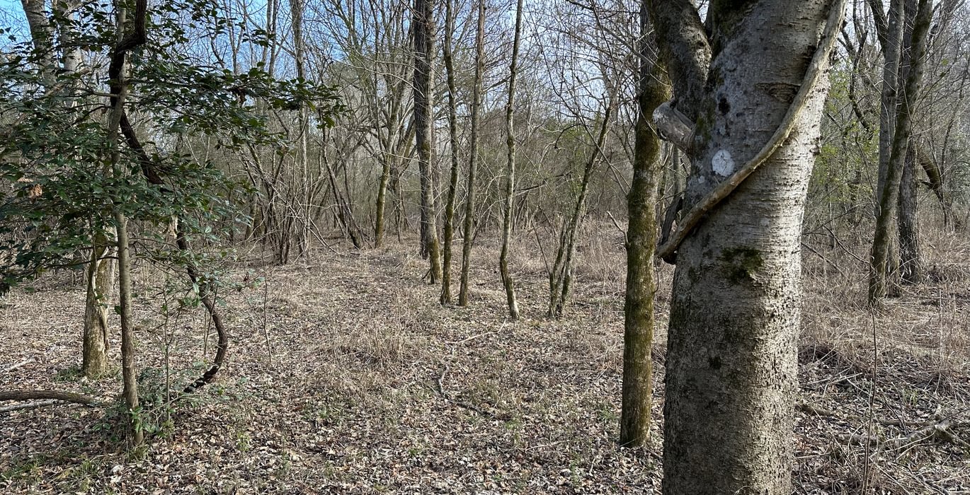 645 IMG 8629