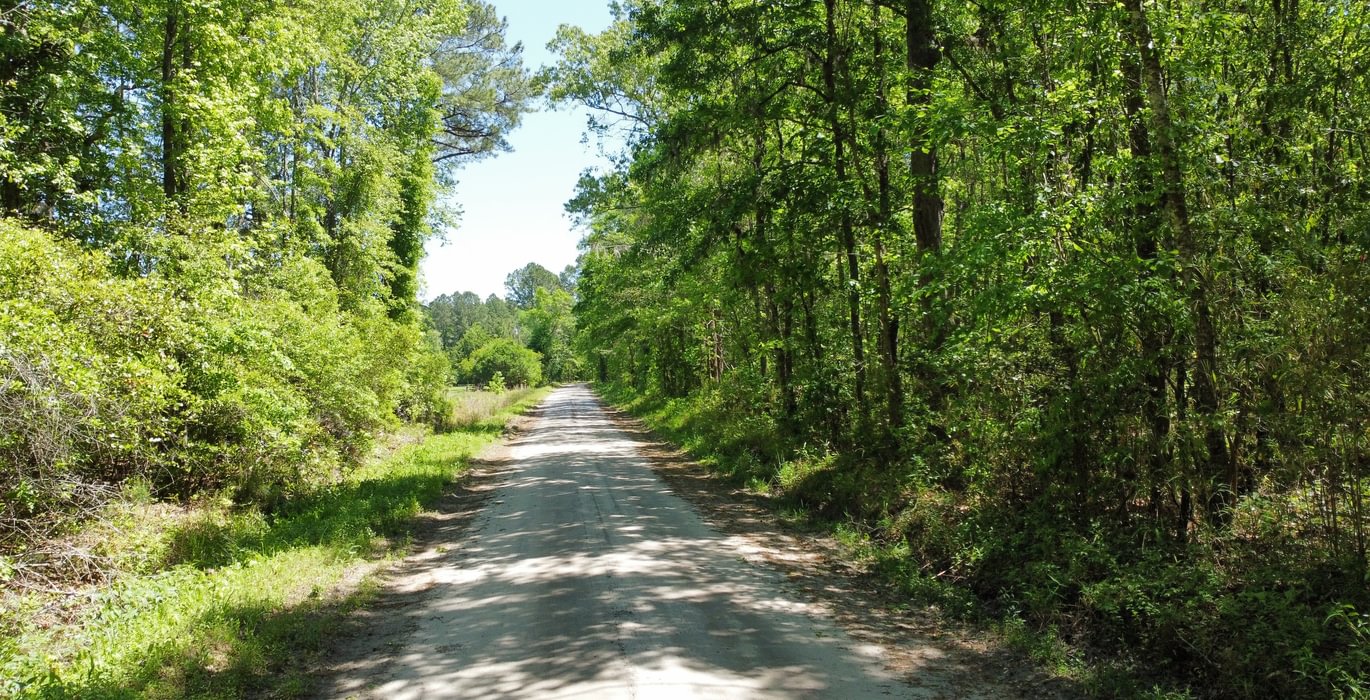 645 dji fly 20250416 123234 89 1744821492457 photo optimized Copy Copy