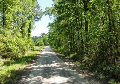 645 dji fly 20250416 123234 89 1744821492457 photo optimized Copy Copy