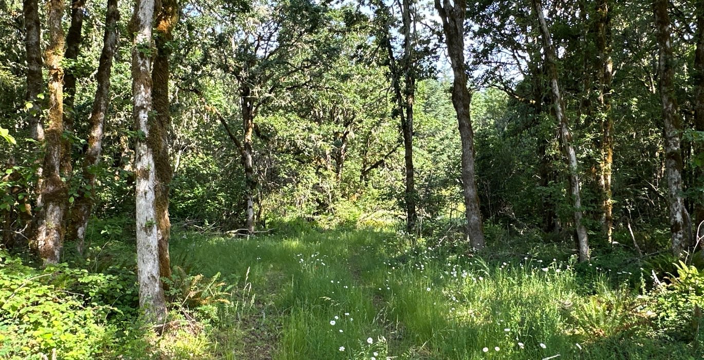 646 IMG 0697