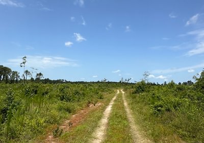 646 IMG 6334