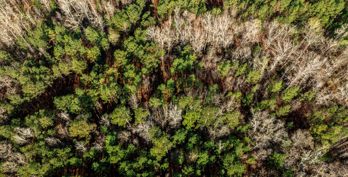 647 AFM Island Creek Farms 16