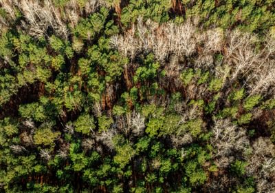 647 AFM Island Creek Farms 16