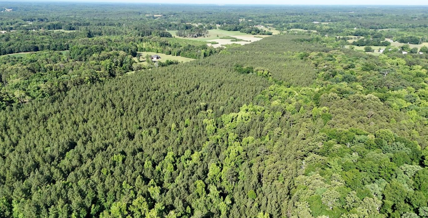 648 AFM Vineyard Road Tract A Photo 5
