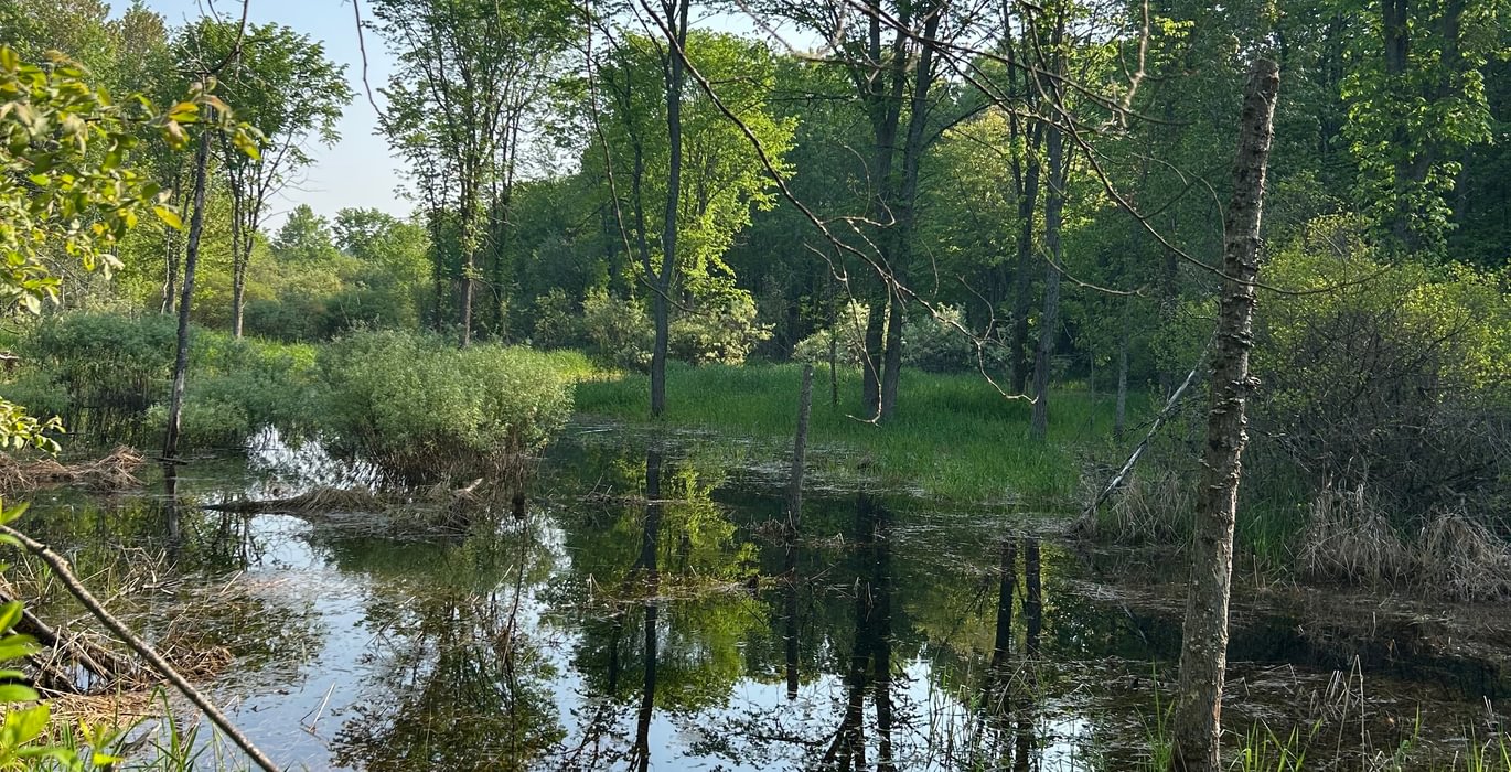 648 IMG 1829