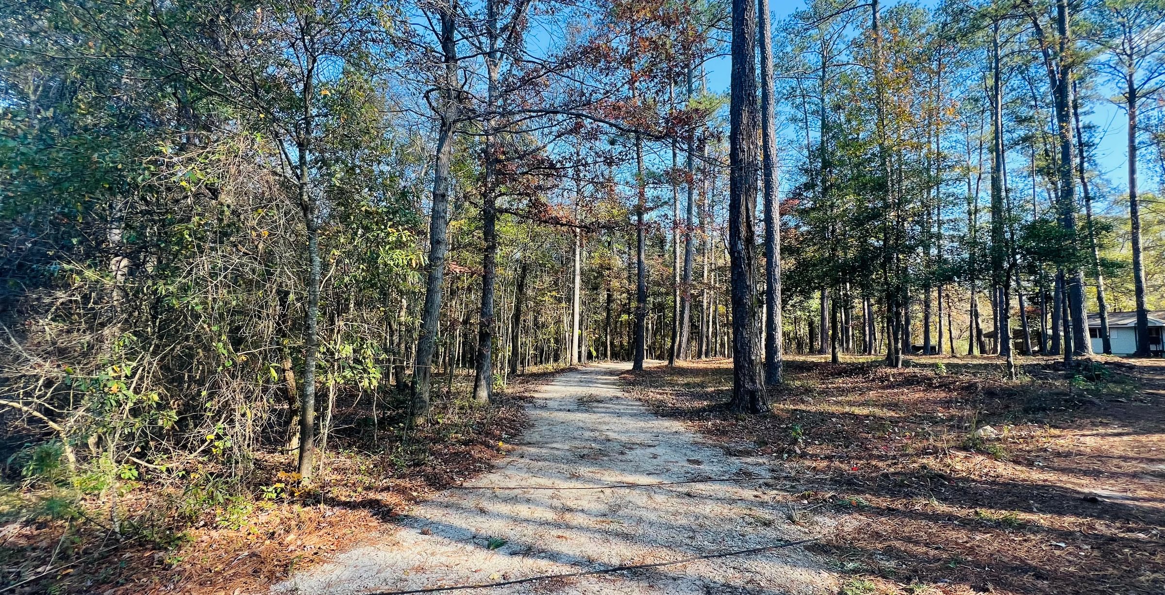 Photo 7 of Paradise Farms, 46.84 acres, Henry County, Georgia
