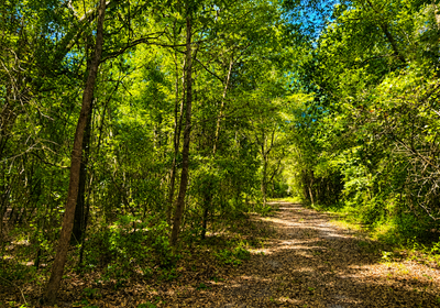 648 Woods