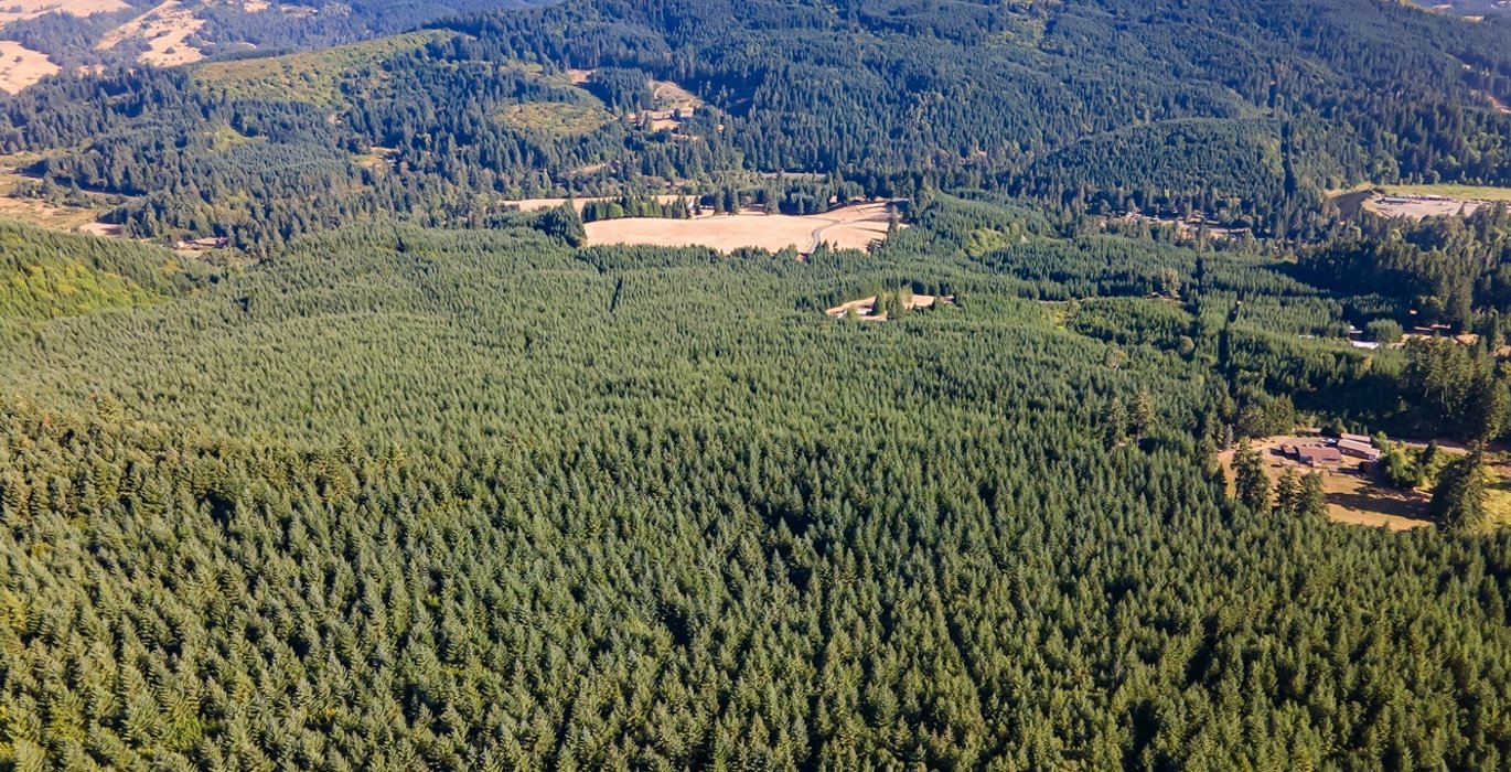 649 DJI 0885 HDR25