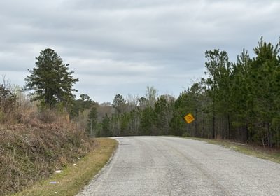 64 IMG 6397