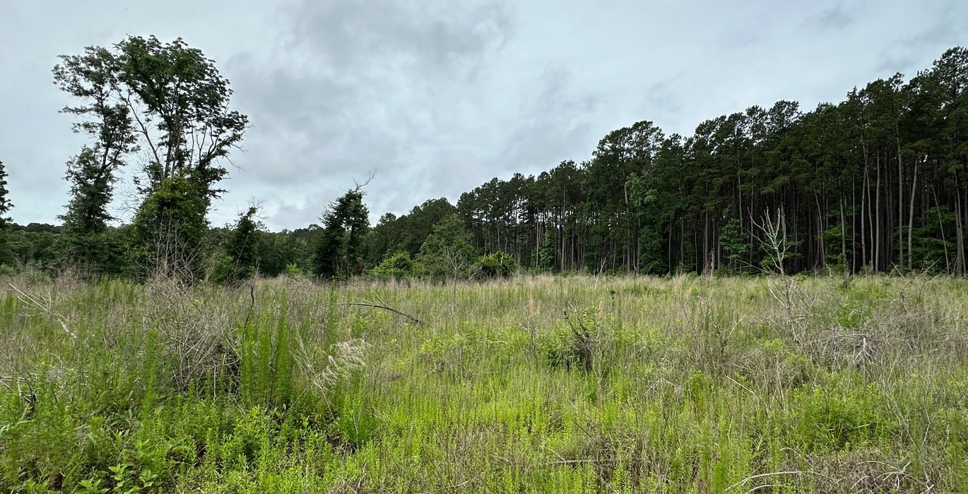 64 IMG 7715