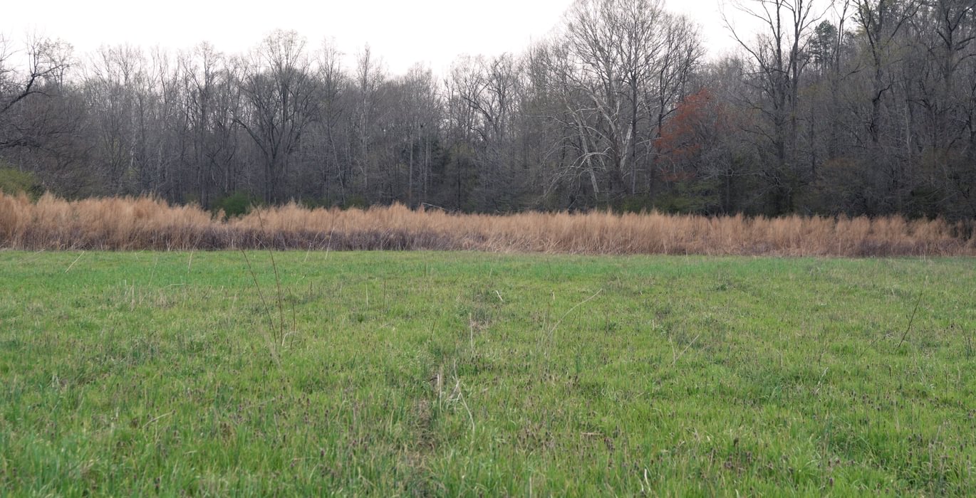 650 AFM West Fork 85 Photo 2