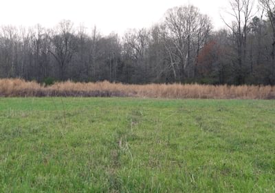 650 AFM West Fork 85 Photo 2