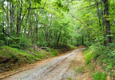 651 Arthur Mc Cormick Rd thru Sexton Prop 2