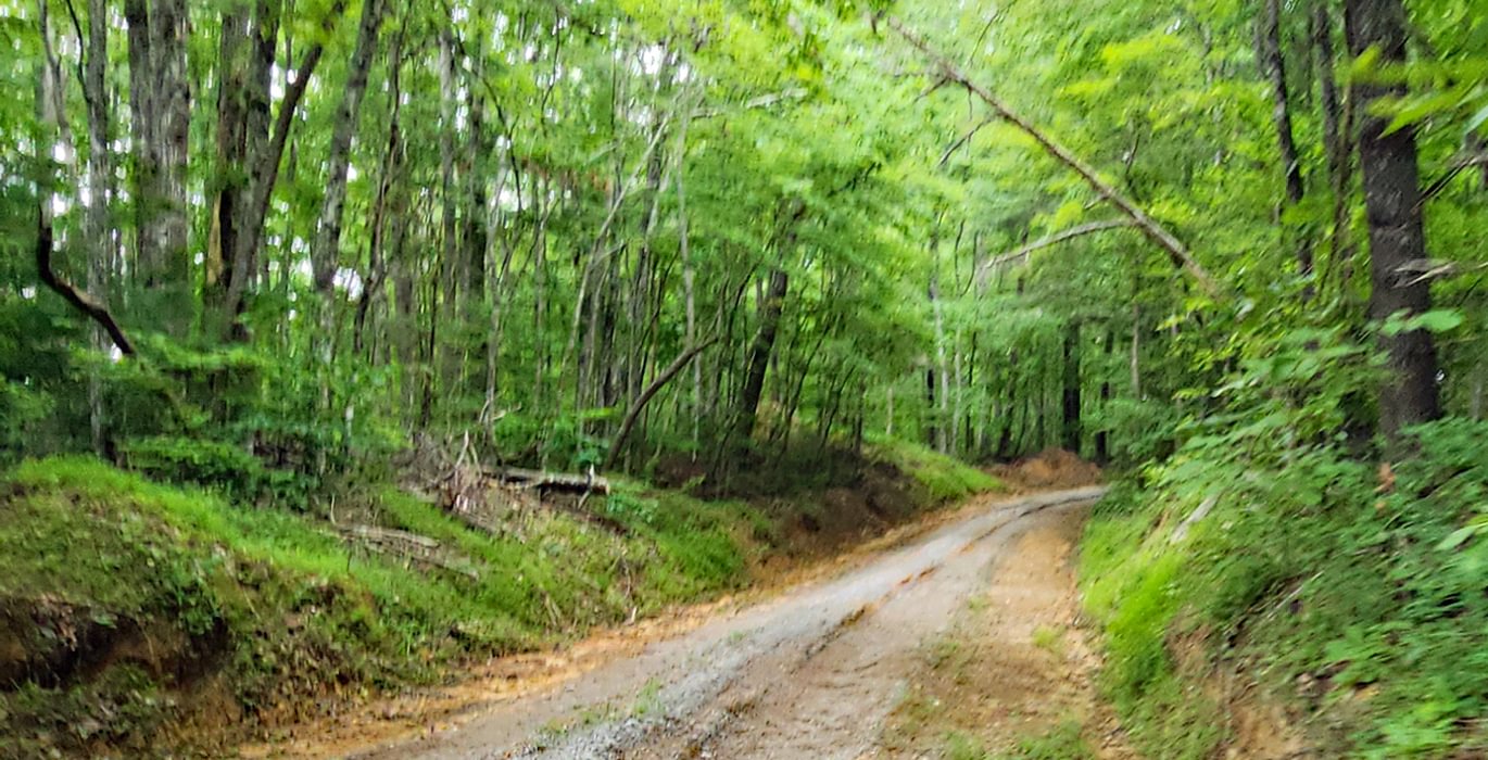 651 Arthur Mc Cormick Rd thru Sexton Prop 2