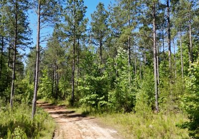 651 Horton Tract Photo 1