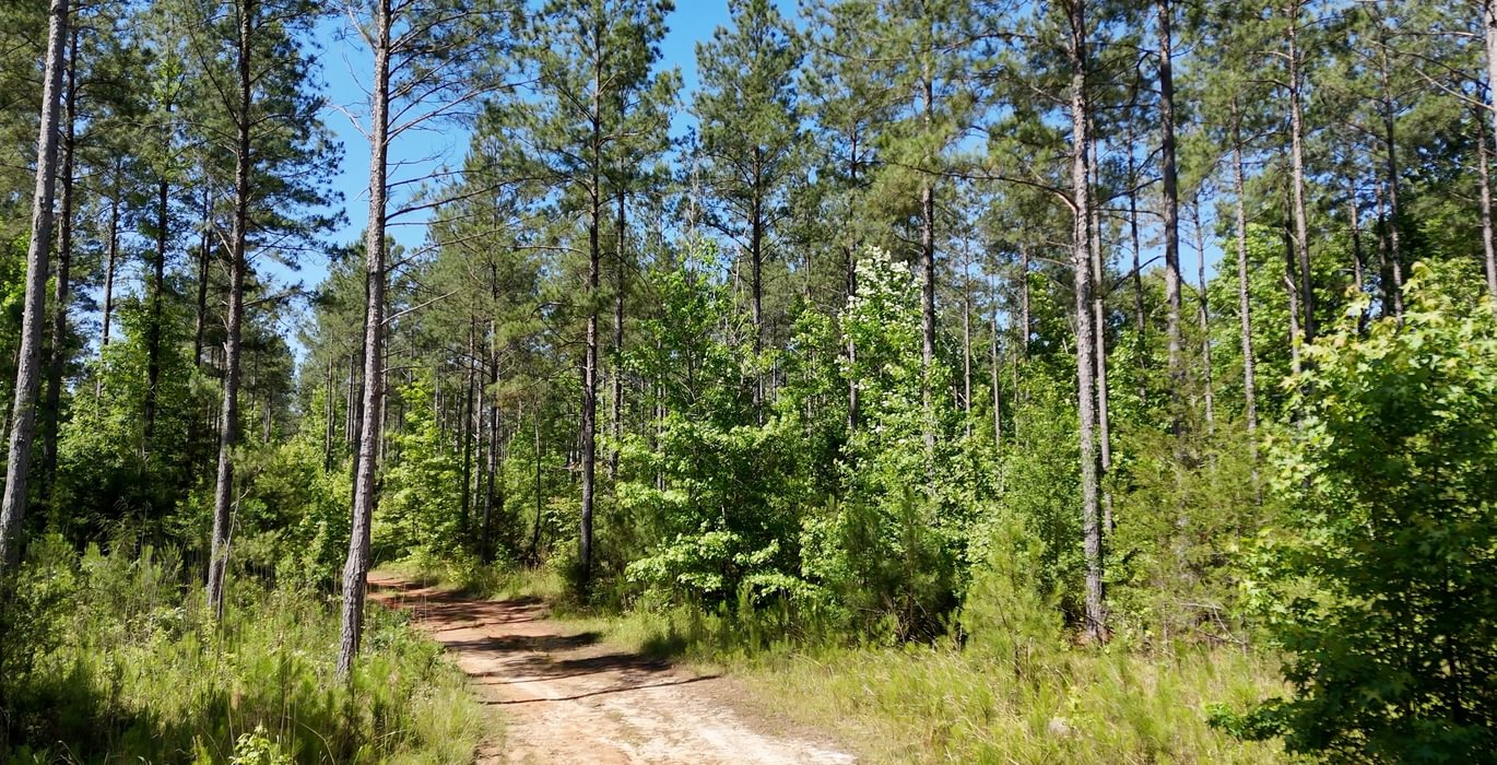 651 Horton Tract Photo 1