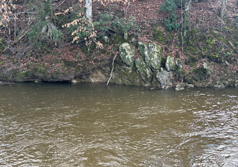 651 IMG 4578
