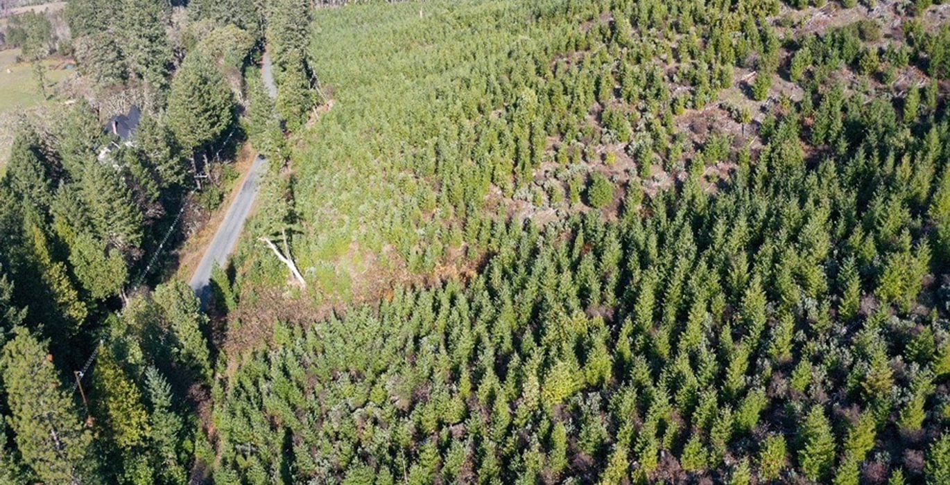 651 Photo Dec 04 2025 10 11 21 PM 25