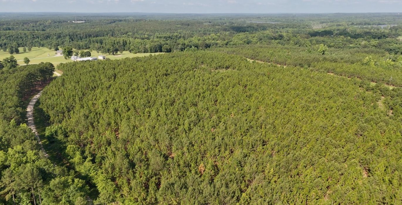 652 Longleaf Mecca Photo 4