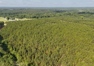 652 Longleaf Mecca Photo 4