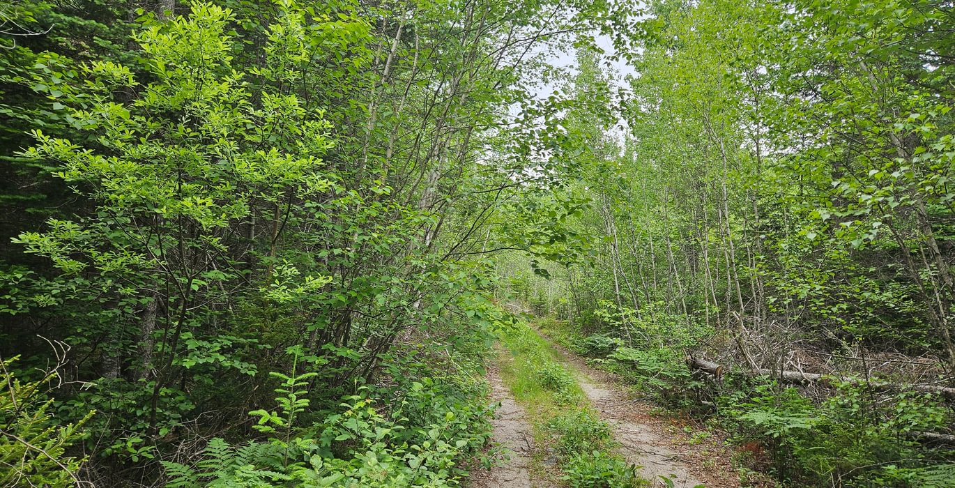 652 T7 access road