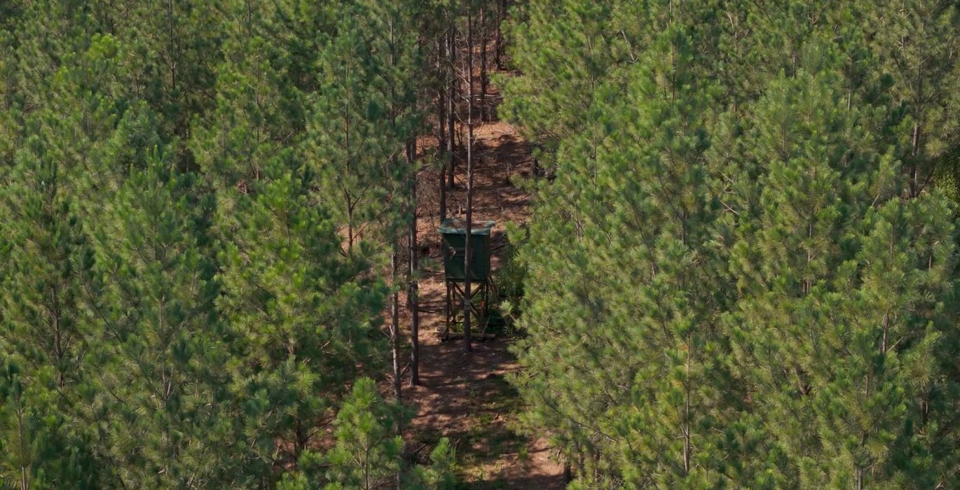 654 Cabin Creek Photo 31