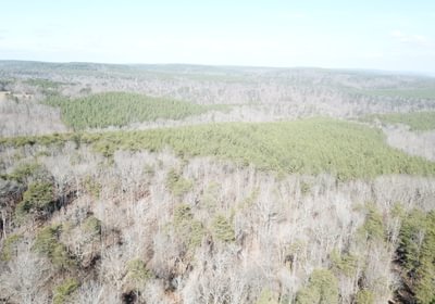 654 DJI 0168