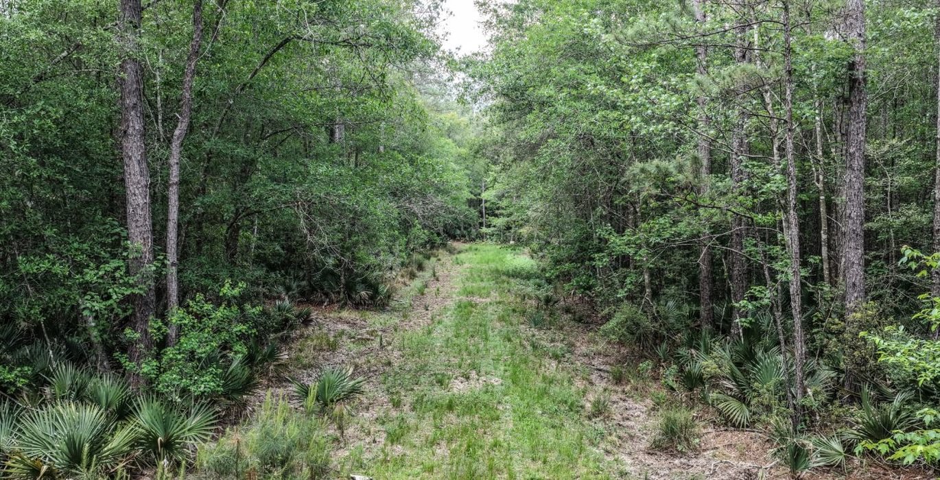 655 DJI 20260415155521 0153 D