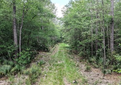 655 DJI 20260415155521 0153 D