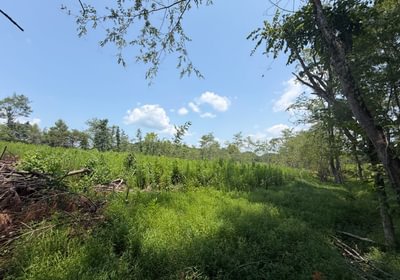 655 IMG 0102