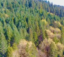 656 IMG20260408121534184