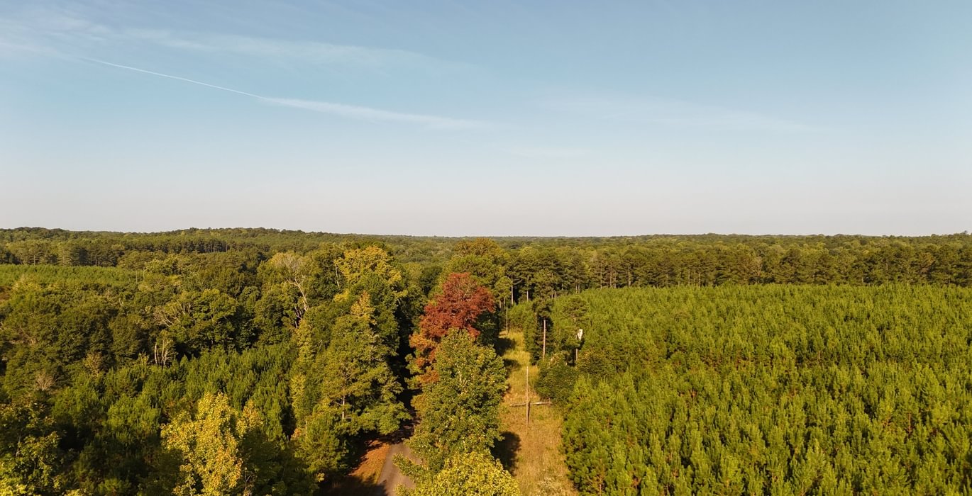 657 DJI 20260916094018 0100 D
