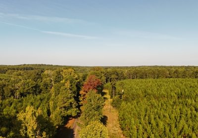 657 DJI 20260916094018 0100 D