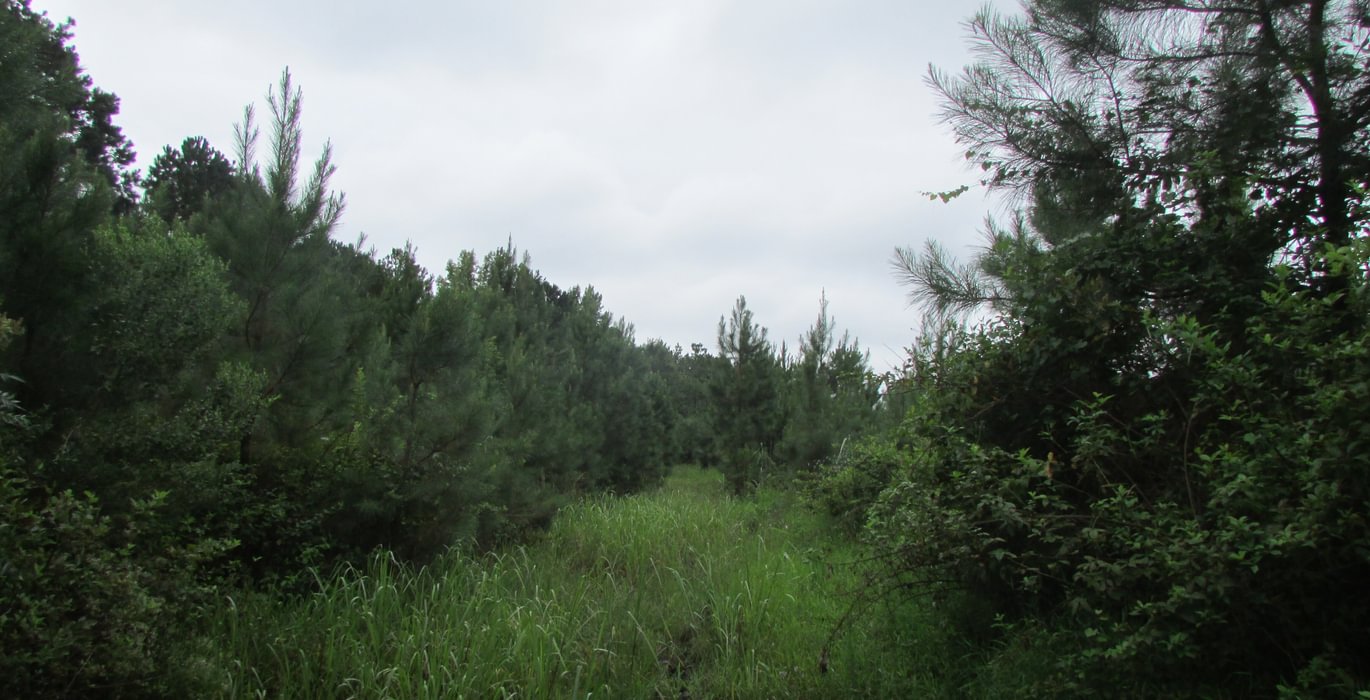 659 008 IMG 0881