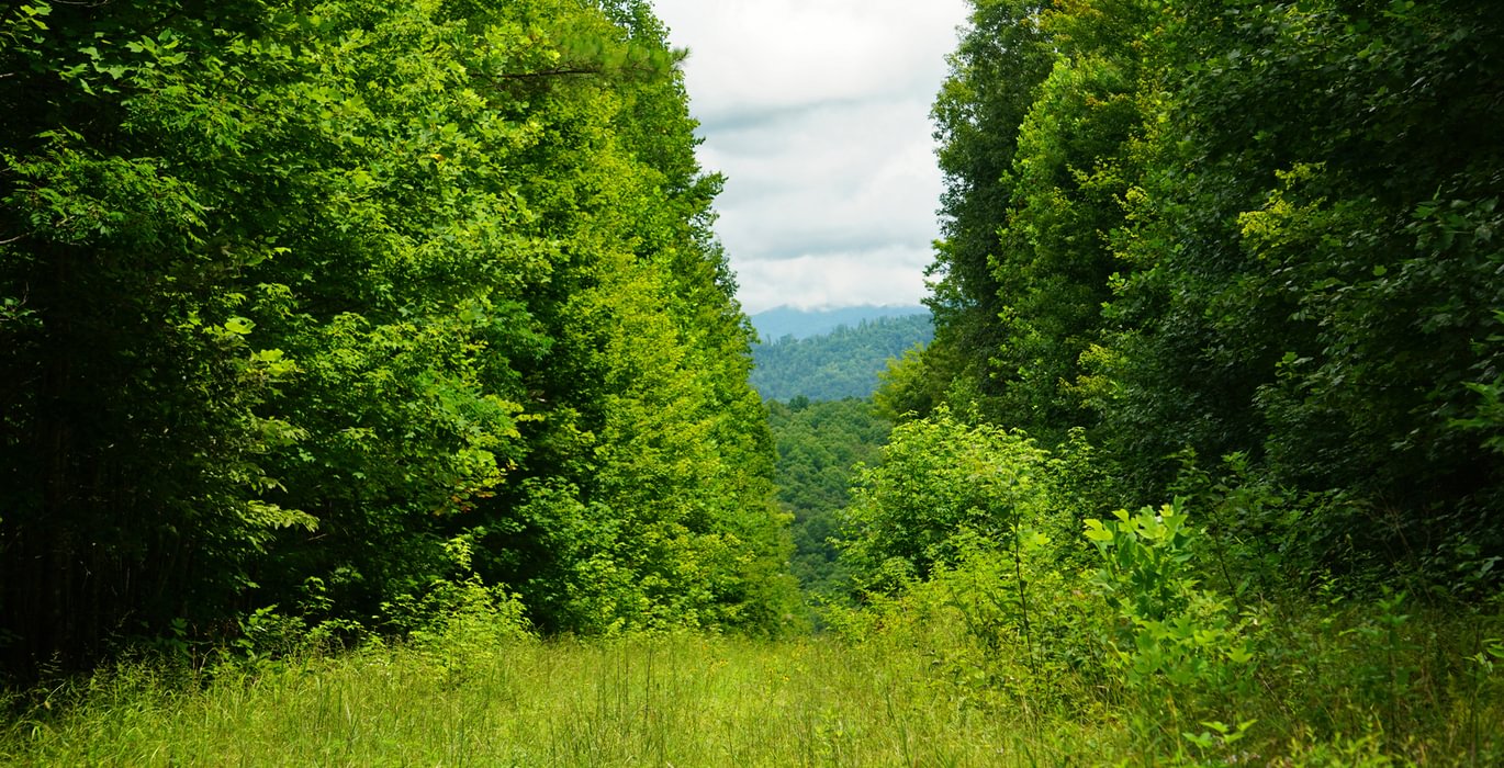 659 Gasline Sexton 391