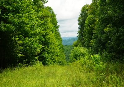 659 Gasline Sexton 391