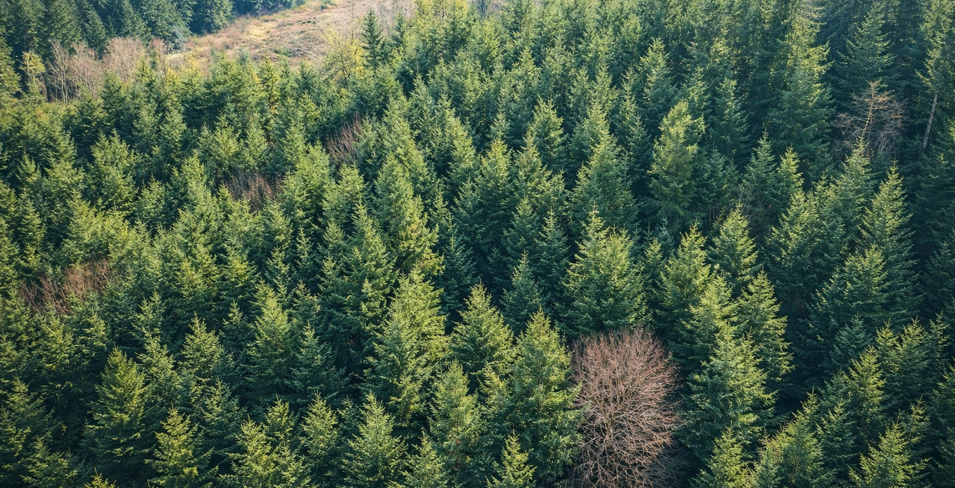 65 Chat GPT Image Jan 13 2026 at 04 41 29 PM