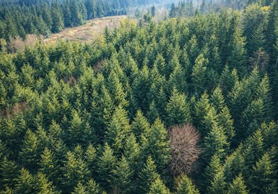 65 Chat GPT Image Jan 13 2026 at 04 41 29 PM