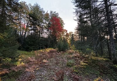 660 IMG 3399