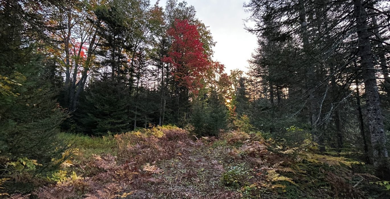 660 IMG 3399