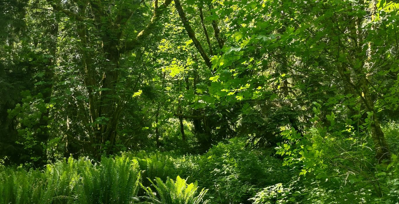 662 IMG 20250604 133954424 HDR 1