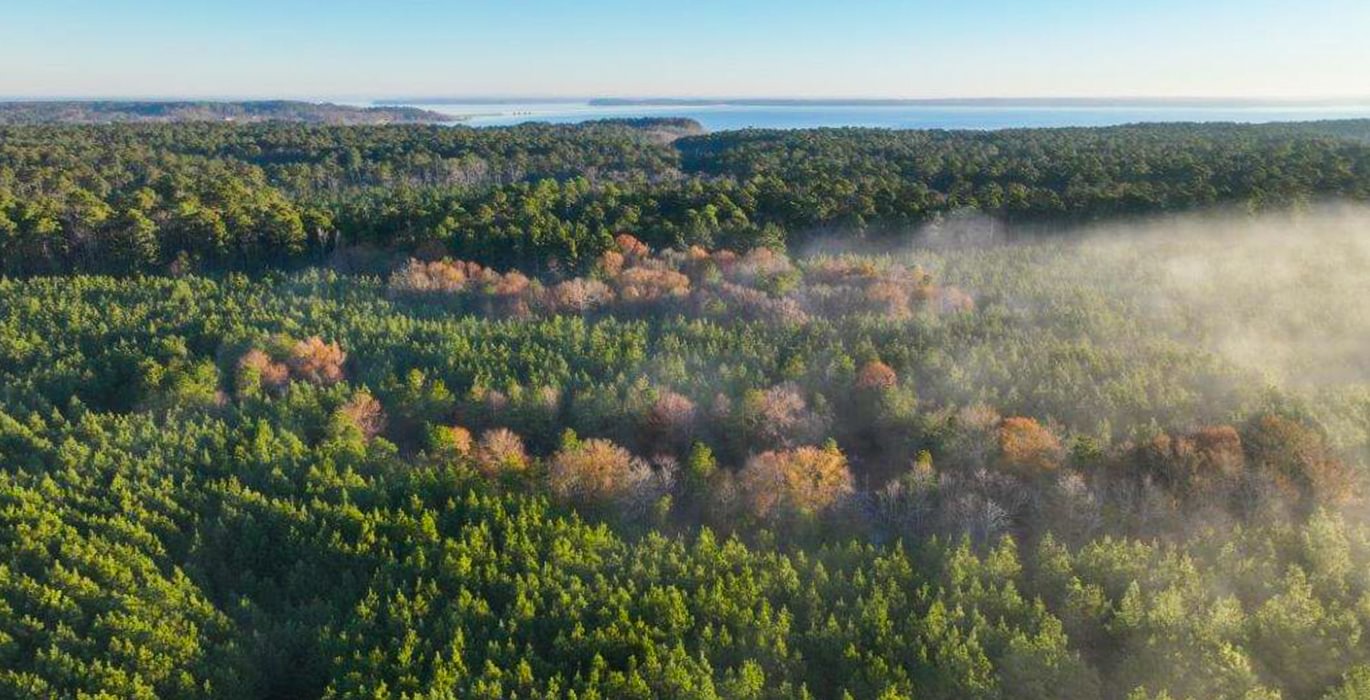 663 DJI 20250201074517 0037 V