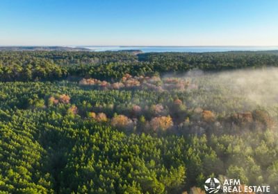 663 DJI 20250201074517 0037 V