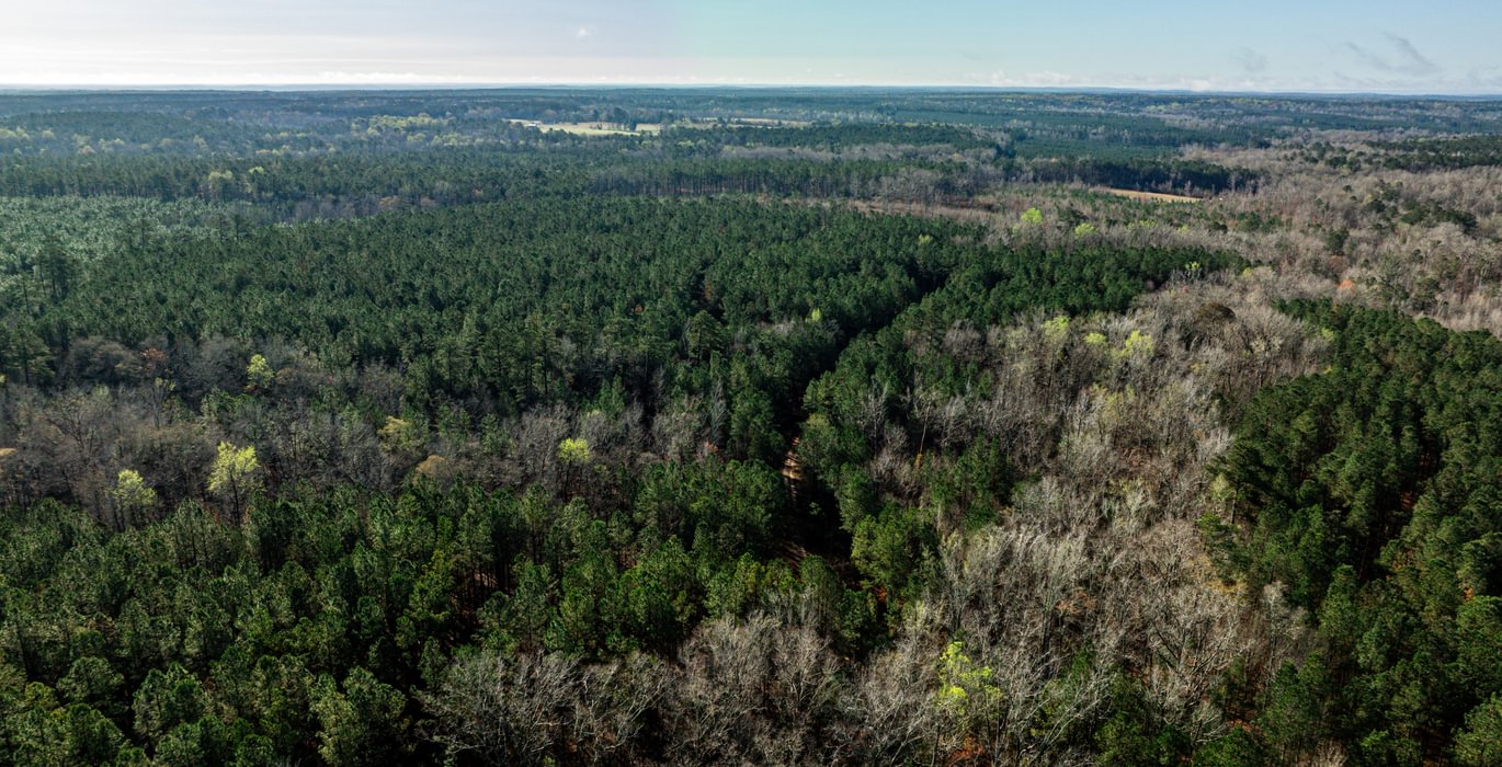 664 AFM Island Creek Farms 3