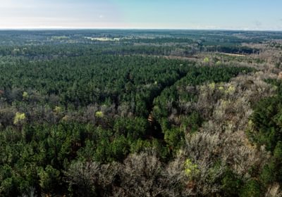 664 AFM Island Creek Farms 3