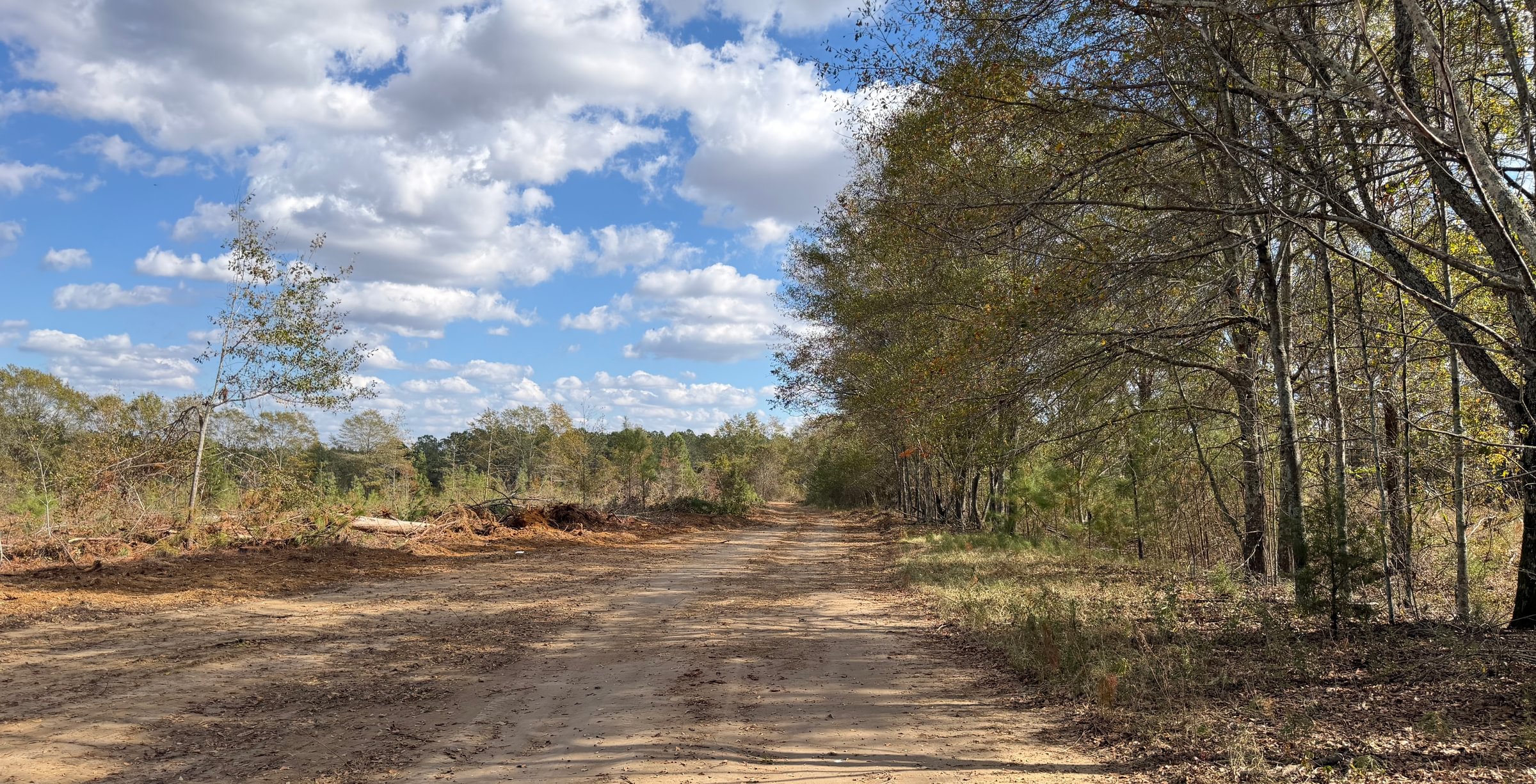 Photo 1 of Dooly County - Edwards Rd Farms, 101 acres, Dooly County, Georgia