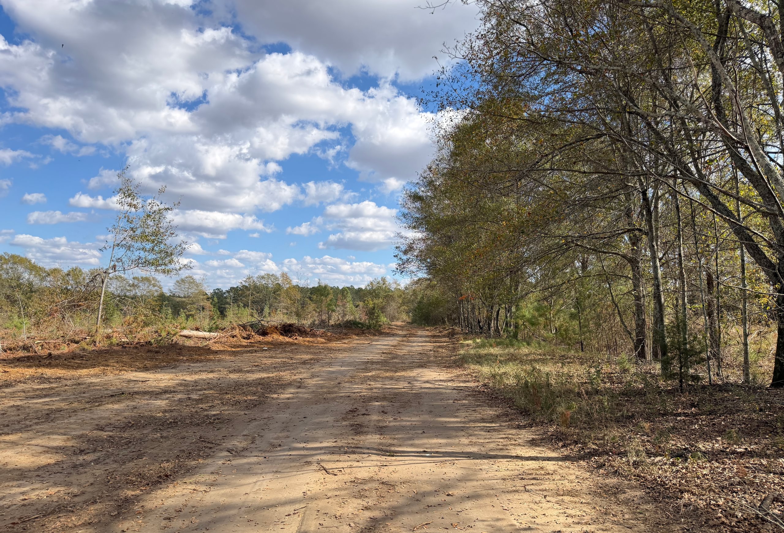 Photo 1 of Dooly County - Edwards Rd Farms, 101 acres, Dooly County, Georgia
