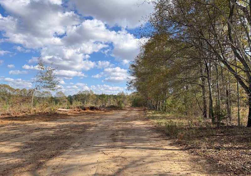 Photo 1 of Dooly County - Edwards Rd Farms, 101 acres, Dooly County, Georgia