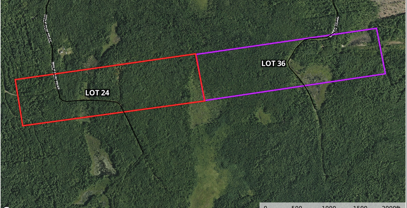 665 Greenbush boundary map of both lots
