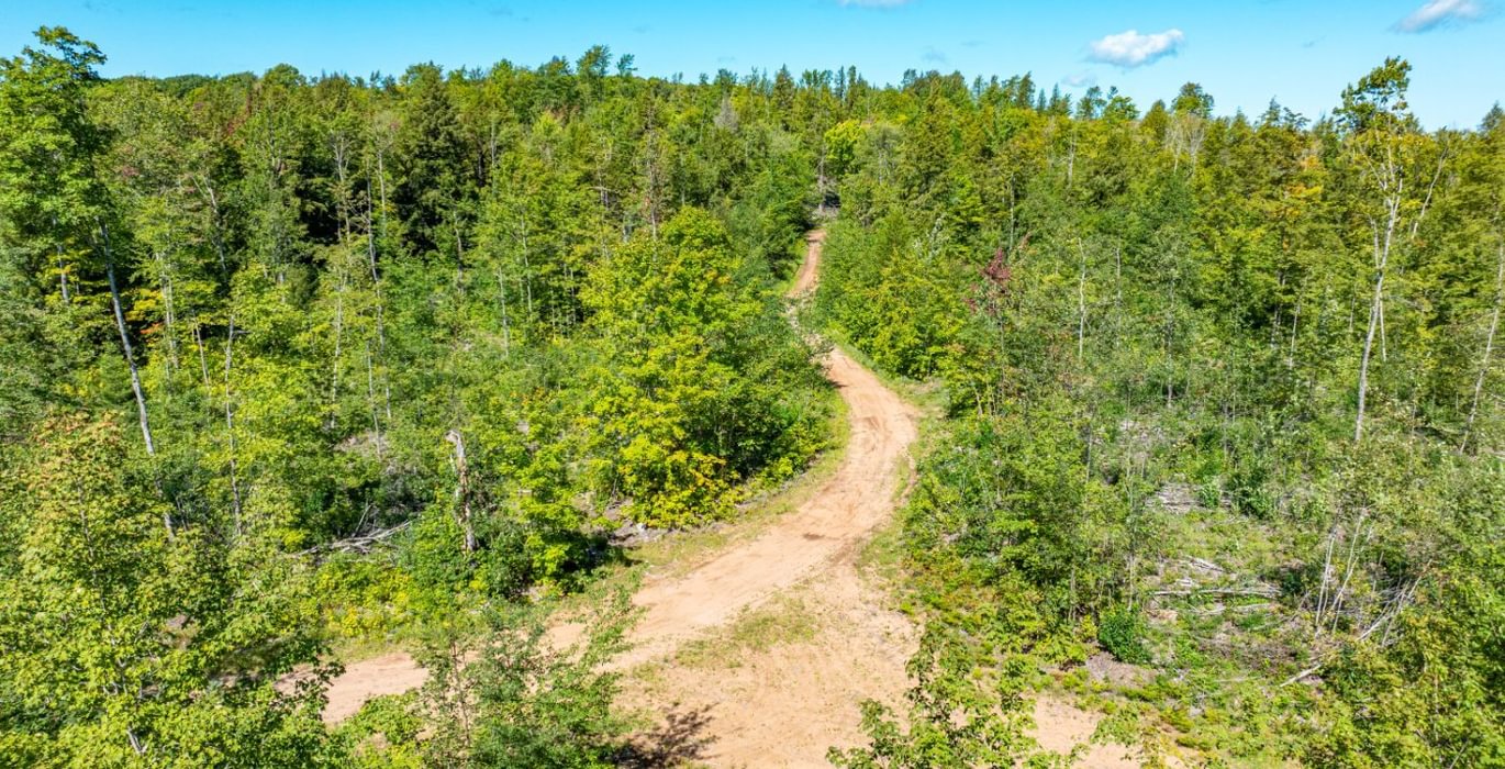 666 20260910 Horseshoe Lake Trina 24